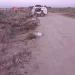 Se informa el cumplimiento del barrido manual, previsto en el cronograma semanal