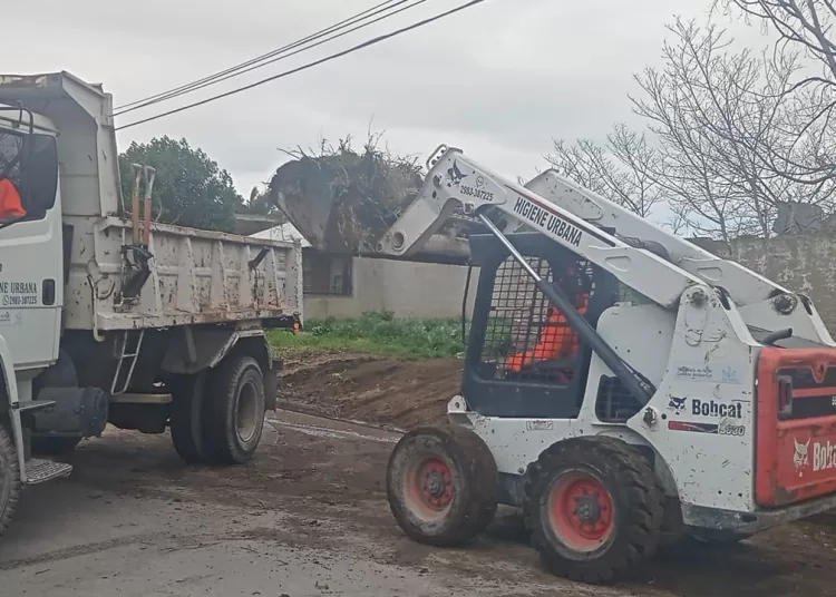 Barrido manual previsto en el cronograma semanal y recolección en diversos puntos