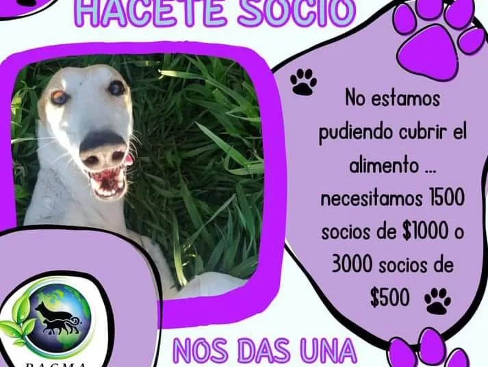 PACMA: Campaña hacete socio