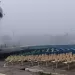 La neblina cubrió la ciudad y redujo al mínimo la visibilidad