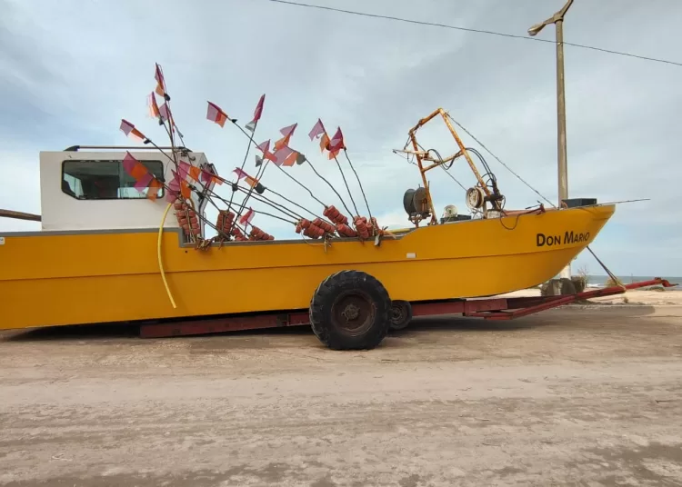Reiteran que la actividad pesquera no tendrá cambios por la mortandad de lobos marinos