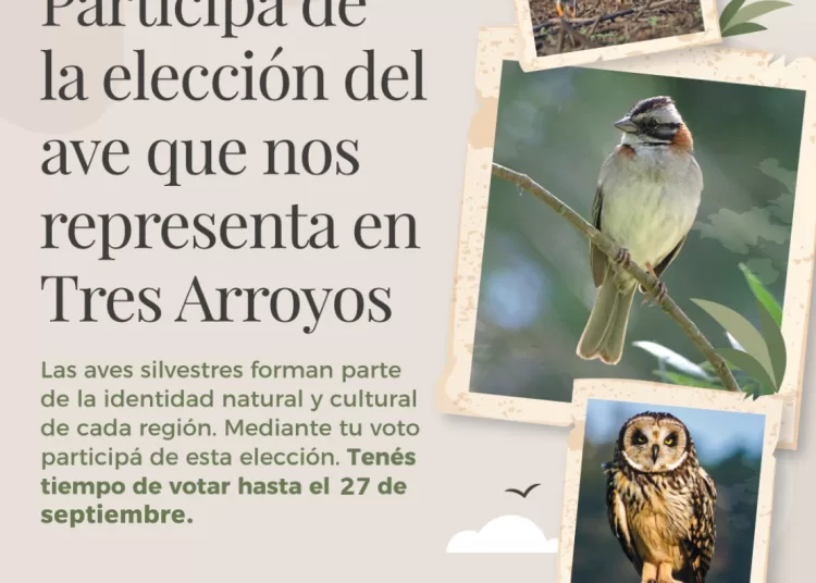 Concurso «Aves de Tres Arroyos»