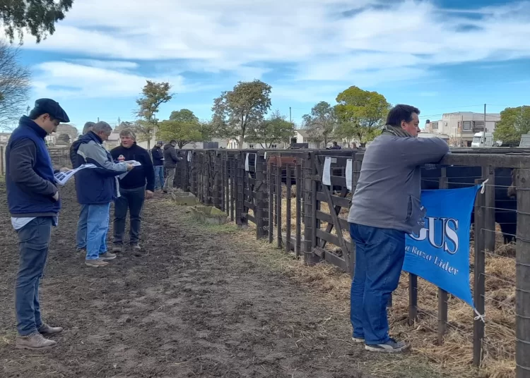 Con capacidad colmada, la 166° Exposición Rural concentrará la atención durante el fin de semana