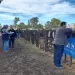 Con capacidad colmada, la 166° Exposición Rural concentrará la atención durante el fin de semana