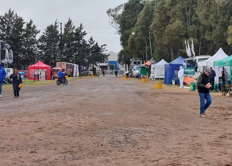 Entregaron los reconocimientos de la 166° Exposición Rural