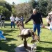 Desarrollaron el primer homenaje al Caballo Argentino