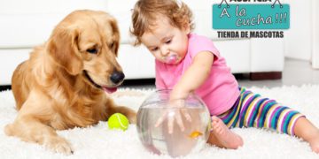 El poder emocional de los perros en la familia