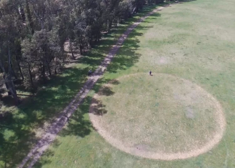 Un misterioso circulo perfecto apareció en el césped de la Estación Forestal Claromecó