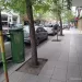 Actividades de la Secretaría de Gestión Ambiental