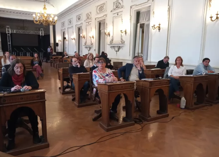 En una psicodélica sesión, aprobaron la protección ambiental de la albufera de Reta y una nueva área de vivienda social