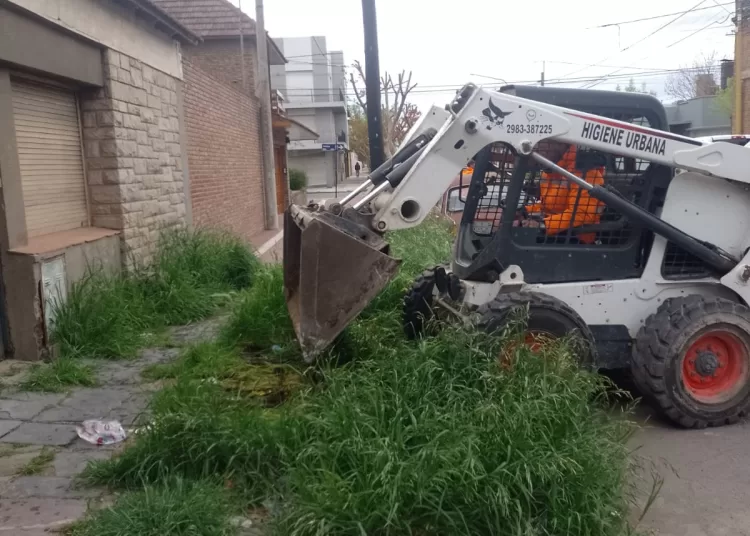 Informe sobre realización de cronograma semanal de barrido manual