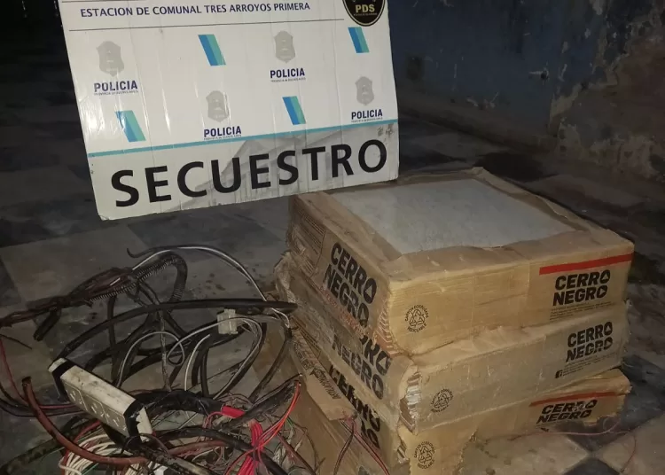 Quiso robar cerámicos y herramientas pero lo aprehendieron