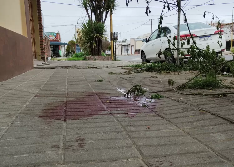 Asaltaron una vivienda con un secuaz, se escaparon y uno terminó herido y detenido