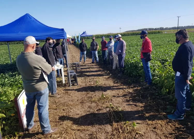 La Cooperativa Agraria convoca a su tradicional muestra del potencial en trigo y cebada