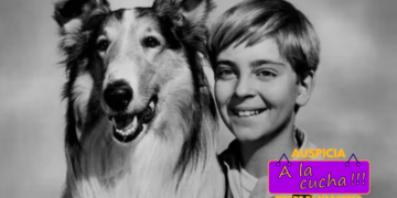 Lassie, la icónica Collie que desafió las expectativas de género
