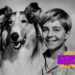 Lassie, la icónica Collie que desafió las expectativas de género