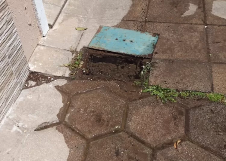 Robaron un medidor de agua a media cuadra de Plaza del Árbol