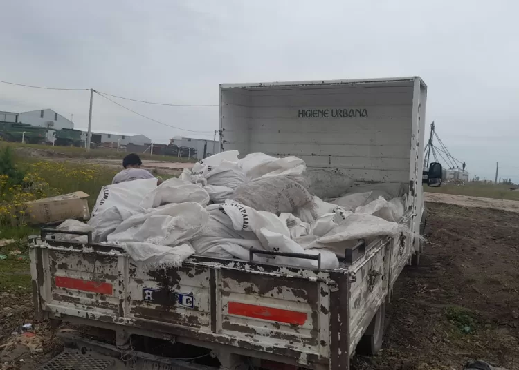 Campaña de limpieza en terrenos baldíos: La colaboración vecinal es clave