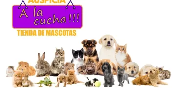 Animales para tener en casa