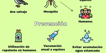 Encefalomielitis Equina: entre todos podemos prevenirla