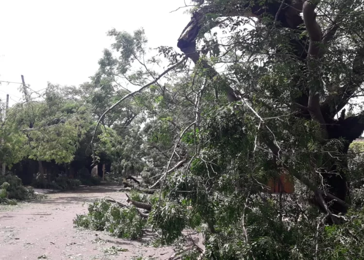 El Grupo 105 adoptará un cronograma de contingencia