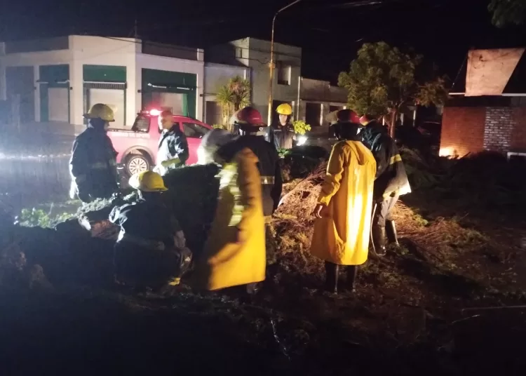 Voladura de techos, evacuados, postes de luz y plantas caídas en la ciudad y las localidades por el temporal