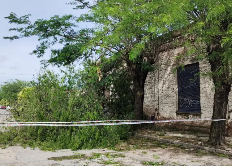 Por el alerta naranja, lanzaron recomendaciones para evitar complicaciones