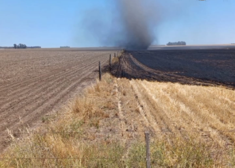 Por una cosechadora, se quemaron 25 hectáreas de un campo claromequense