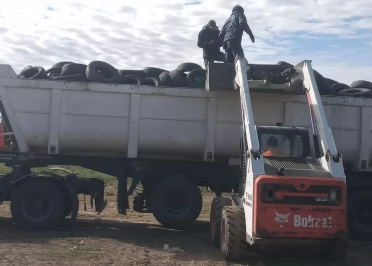 Entregaron 300 kilos de neumáticos usados para reciclar
