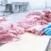 El precio de la carne vacuna aumentó 40,9% en diciembre y sumó 307,3% en un año