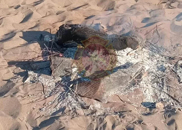 Claromecó: sofocaron una fogata en la playa y piden no generar fuego por las condiciones climáticas