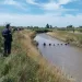 Con drones y buzos, prosigue la búsqueda del menor que cayó a un arroyo