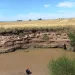Reanudaron la búsqueda del menor caído al arroyo