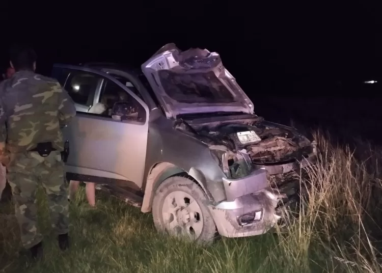Una camioneta colisionó contra un vaca en ruta 73