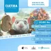 El «Cine Móvil» llegará a los balnearios el próximo fin de semana