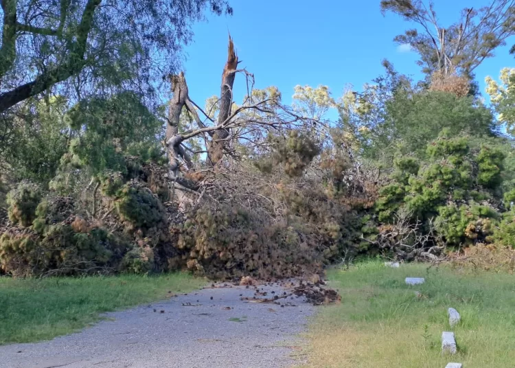El Parque Cabañas permanecerá cerrado hasta culminar con su mejoramiento tras los sucesivos temporales