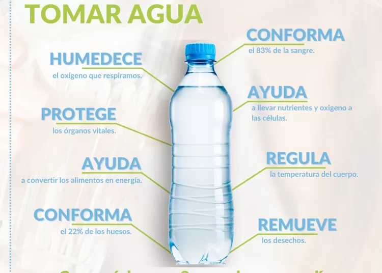 La importancia de tomar agua
