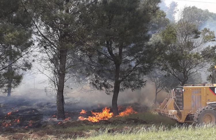 Piden extremar recaudos por condiciones «altas y muy altas» de riesgos de incendios en la zona costera