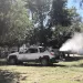 Continúan con la fumigación ante la invasión de mosquitos