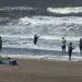 Advierten mareas estables y piden no interferir con la fauna marina en caso de avistamiento