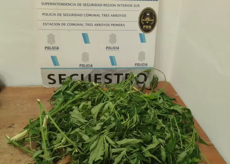 Entró a una casa abandonada con marihuana, un vecino lo vió y lo demoraron
