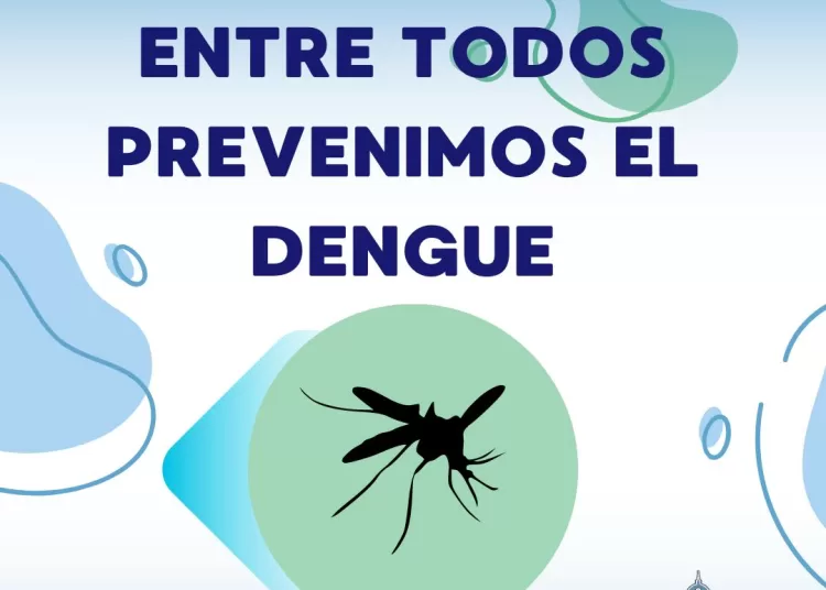 Descartan presencia del mosquito del dengue y piden adoptar medidas hogareñas