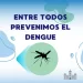 Descartan presencia del mosquito del dengue y piden adoptar medidas hogareñas