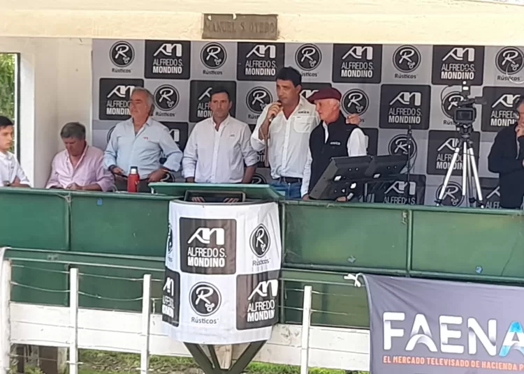 Rústicos del Destete en Tandil: la figura fue el equipo