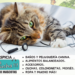 Sonidos que les gustan a los gatos