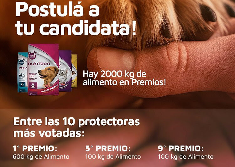 Convocan a votar al Refugio Pacma en un concurso por alimento balanceado