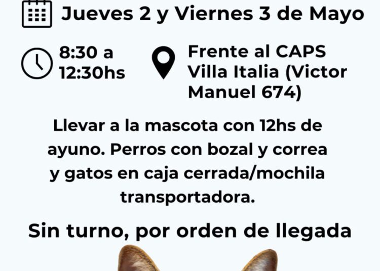 Bromatología y Zoonosis lleva el móvil quirúrgico de castraciones a los barrios