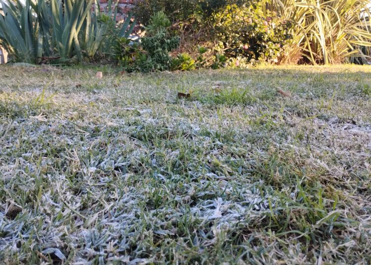 Con la primera helada del año, Tres Arroyos se ubicó entre las quince ciudades más frías del país