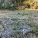 Con la primera helada del año, Tres Arroyos se ubicó entre las quince ciudades más frías del país