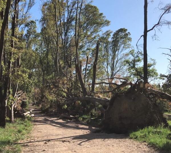 Reabrieron el Parque Cabañas tras finalizar remodelaciones